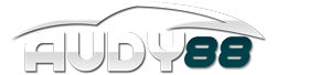 logo-AUDY88